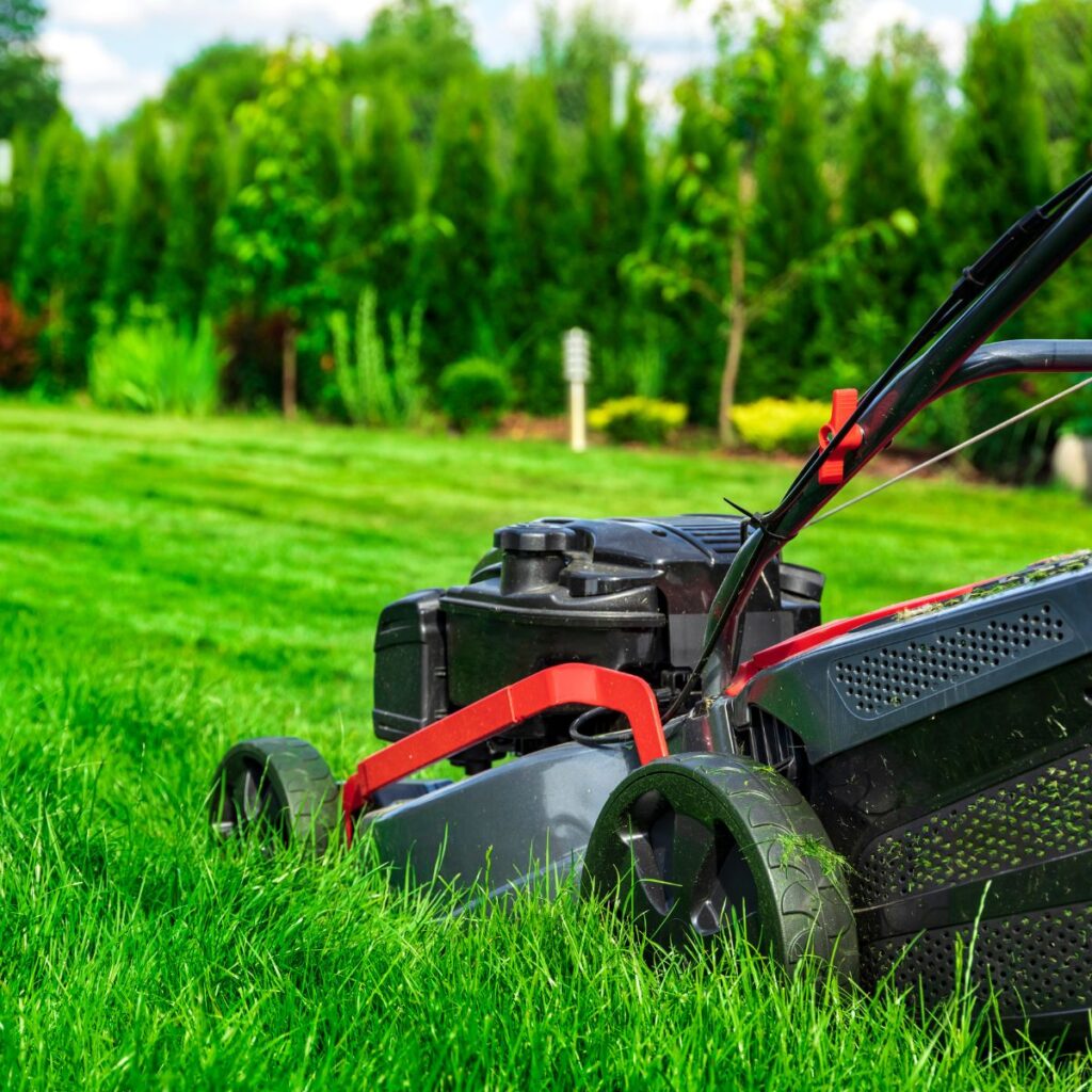 Lawn & Garden
